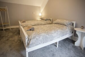 Twin Room at The Crown Stirrup - New Forest